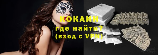 прущие грибы Абинск