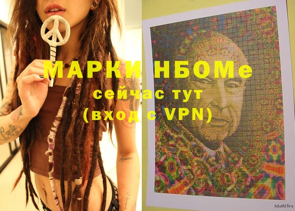 прущие грибы Абинск