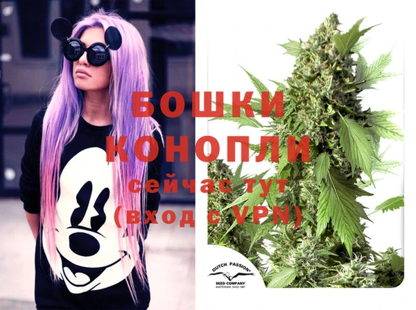 дживик Протвино