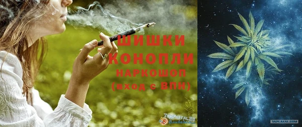 прущие грибы Абинск