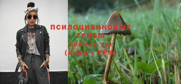 дживик Протвино