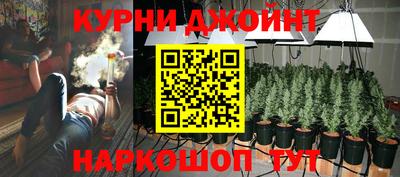 МДПВ Гай