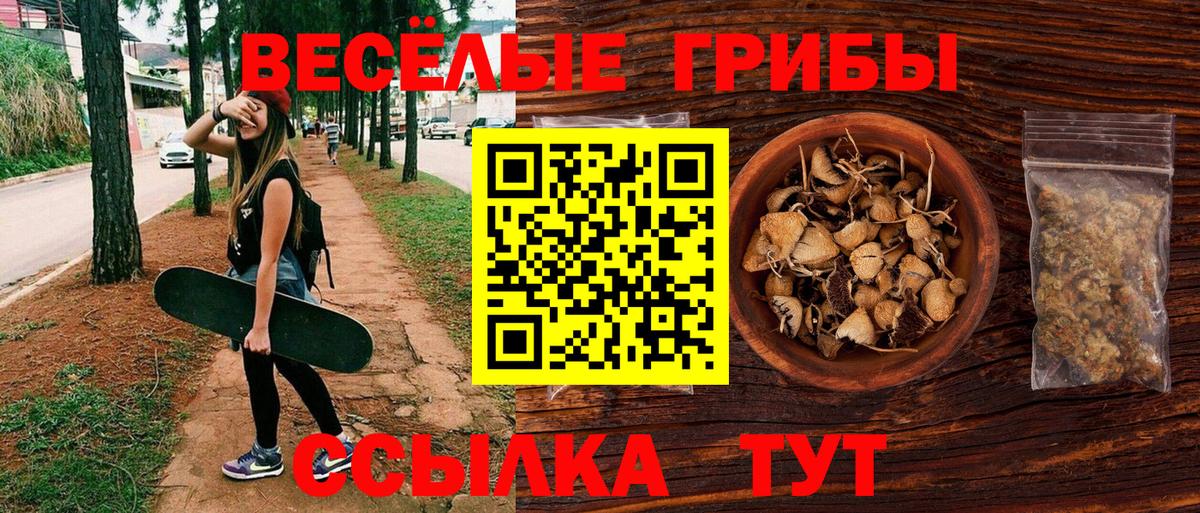 Галлюциногенные грибы Psilocybine cubensis Сальск